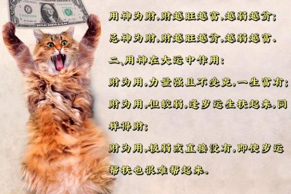 八字火多的是富贵命 最有富贵命的生肖