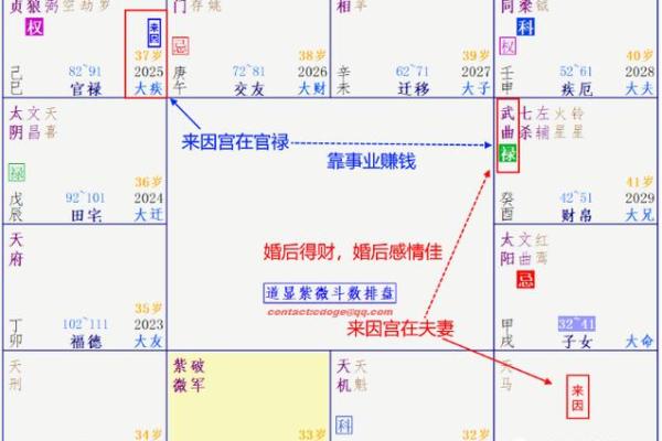紫薇斗数变动的意思