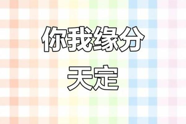 异性缘八字
