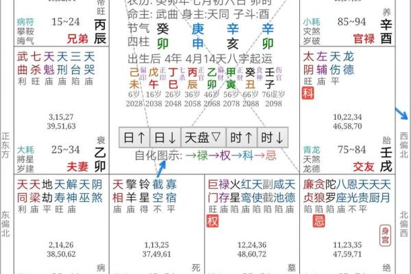 紫薇斗数会照什么意思