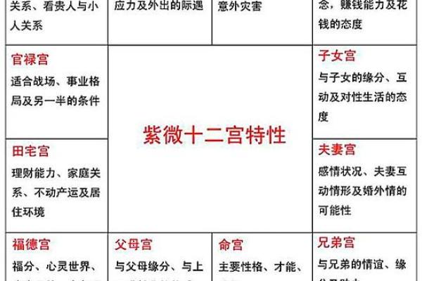 紫薇斗数会照什么意思