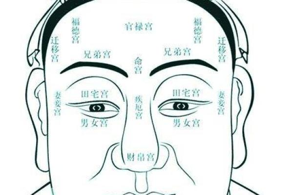 从腿部看相算命