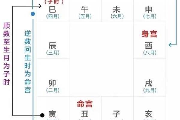 紫薇斗数安星