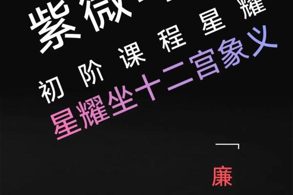 紫薇斗数中禄