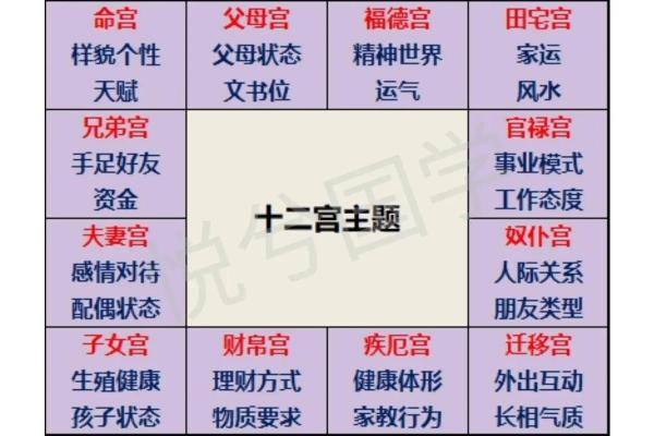 紫薇斗数忌星入十二宫