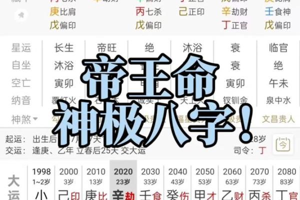 八字命神