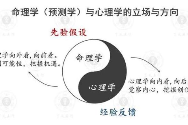 心理学与算命详解书