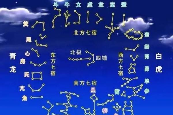 紫薇斗数太阴座是什么