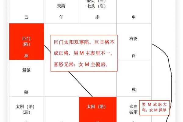 紫微斗数诸星落命宫之:生年博士十二神详解 紫微斗数诸星落命宫之:生年博士十二神详解