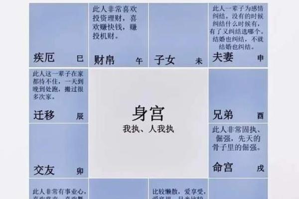 紫微斗数地劫星之十二宫释义