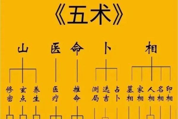 紫薇光线斗数