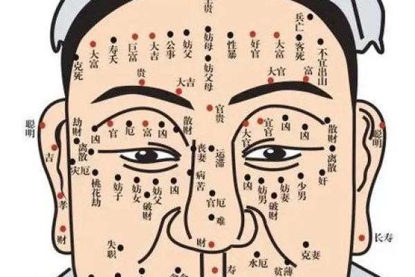 面相解析：额头面相算命图解