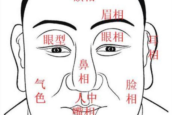 济缘算命：什么面相的男人容易长寿？