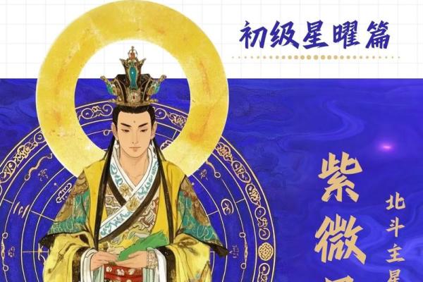 紫薇斗数视频进阶