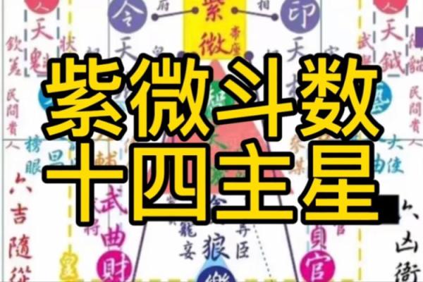 紫薇斗数视频进阶
