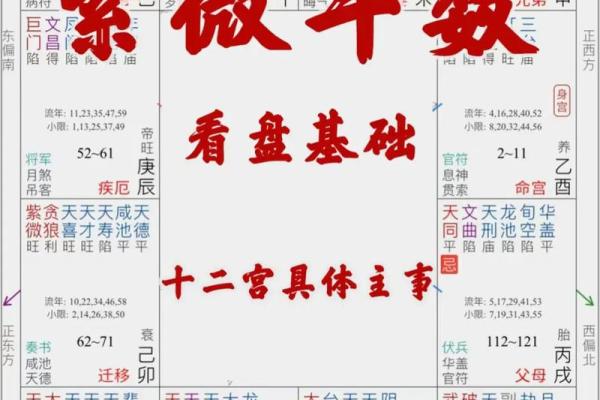 紫薇星盘查询免费