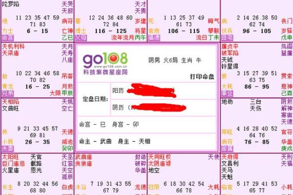 紫薇星盘查询免费