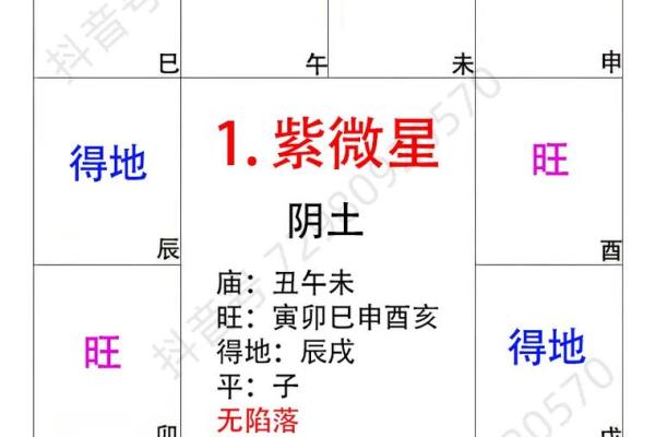 紫薇斗数庙什么意思 紫薇斗数庙什么意思
