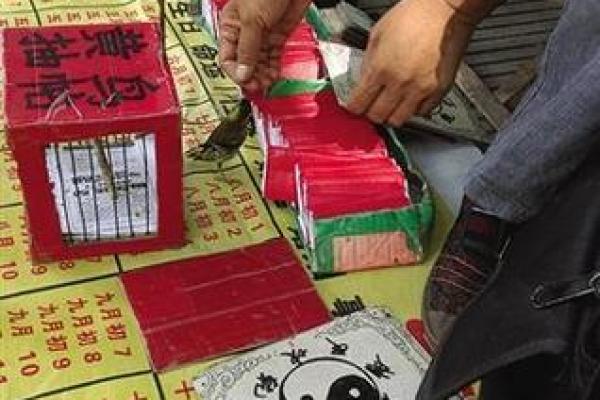 免费算命抽签算卦