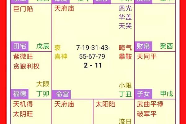 紫薇斗数断命技巧