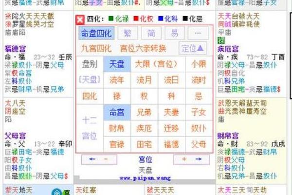 八字命盘中绿马是什么意思