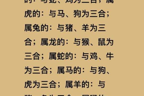 属羊.八字