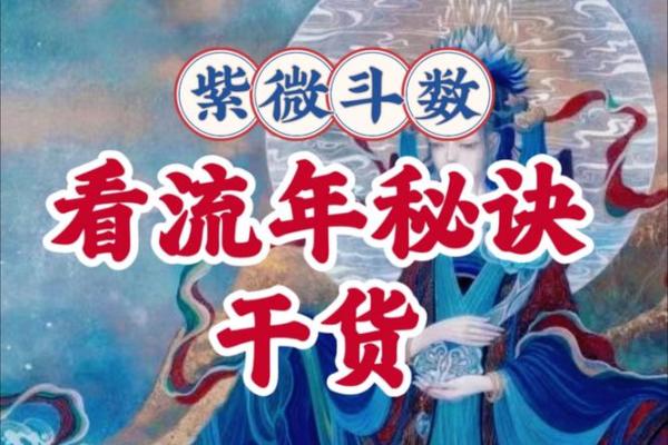 紫薇斗数看学业流年