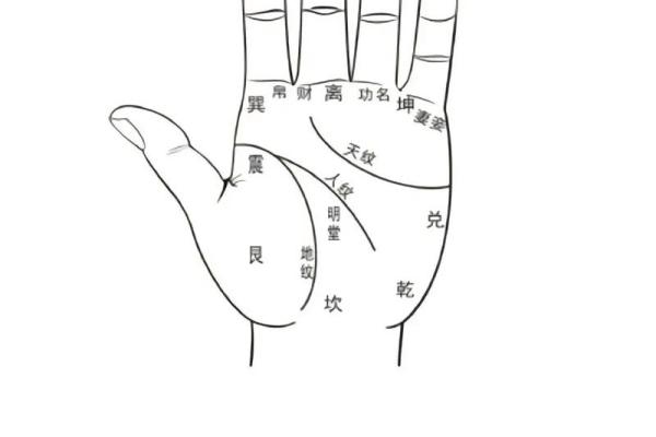 八字里养