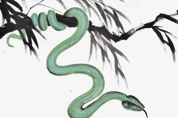 生辰八字两条龙两条蛇