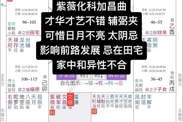 紫薇斗数怎么看桃花是不是正缘