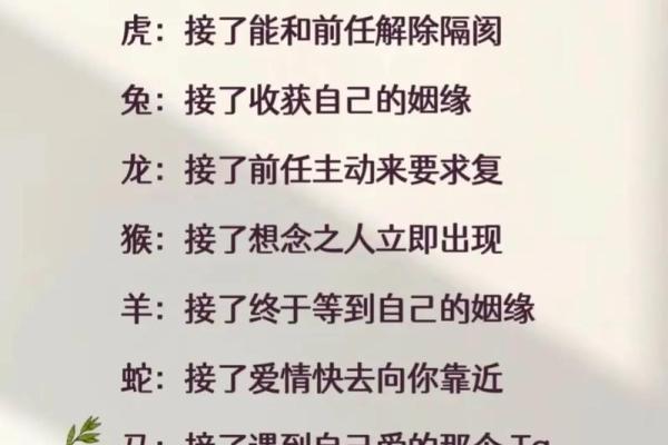 测试姻缘答卷