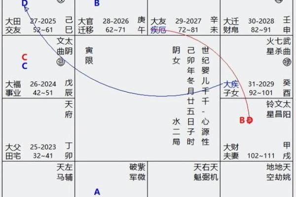 命宫紫薇斗数天巫