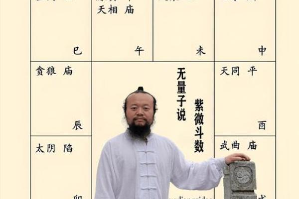 紫微斗数之疾厄宫与诸星，天相星在疾病宫是什么意思？