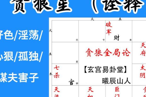 钦天门紫微斗数 斗数基础第20讲 贪狼（一）
