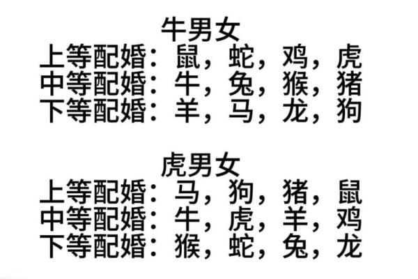台湾十二生肖算命,十二生肖配对算命