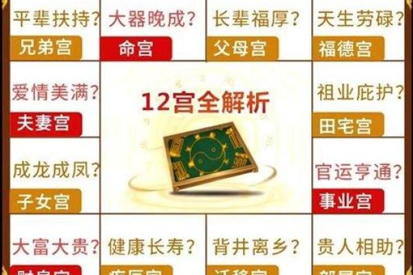 紫薇斗数12宫位
