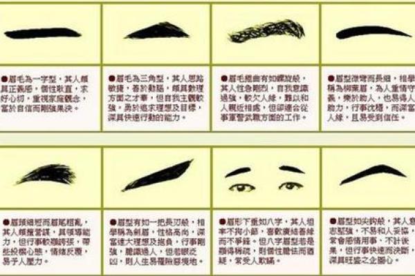 八字眉生肖