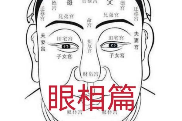 五官看面相算命图解女眼睛 眼睛看相算命图解