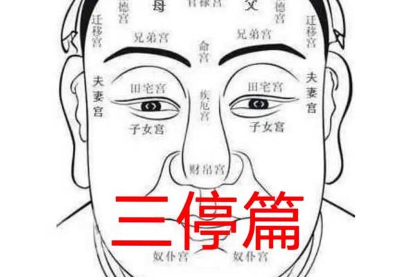 如何从女人下巴面相算命