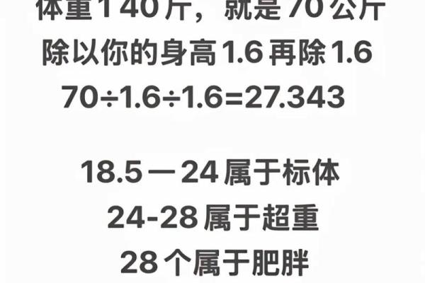 胖子的八字