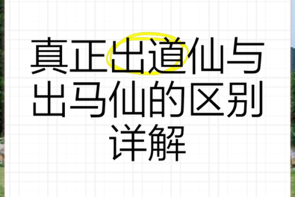 有没有顶仙算命的