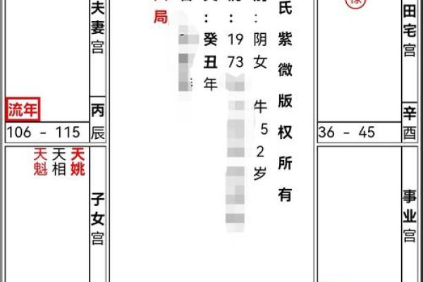 紫薇斗数大运查询表