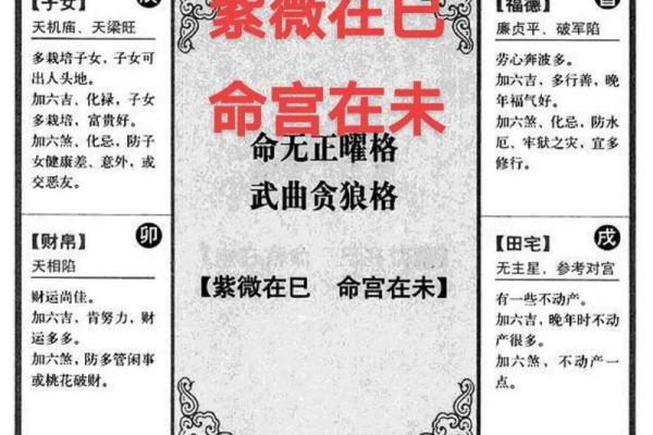 紫薇斗数看人生txt的简单介绍