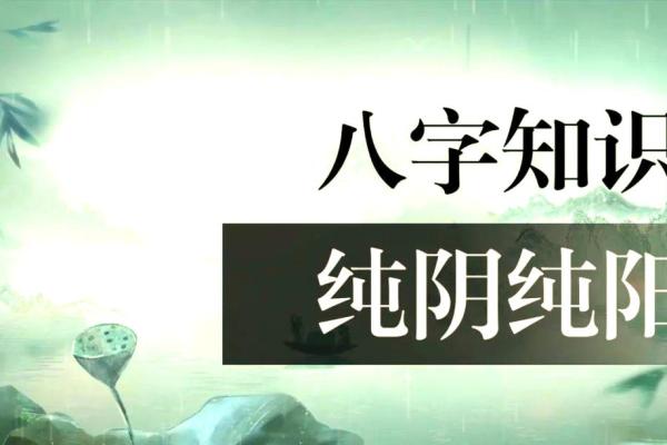 全阳八字女