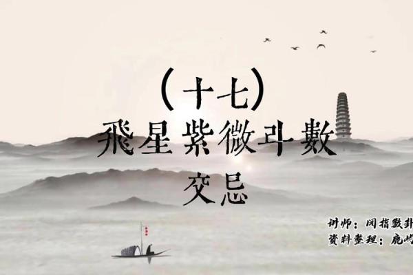 紫薇斗数对冲忌