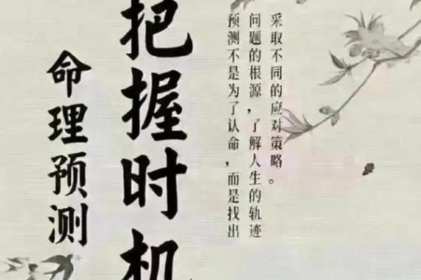贵气的八字