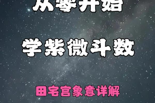 紫薇斗数网恋