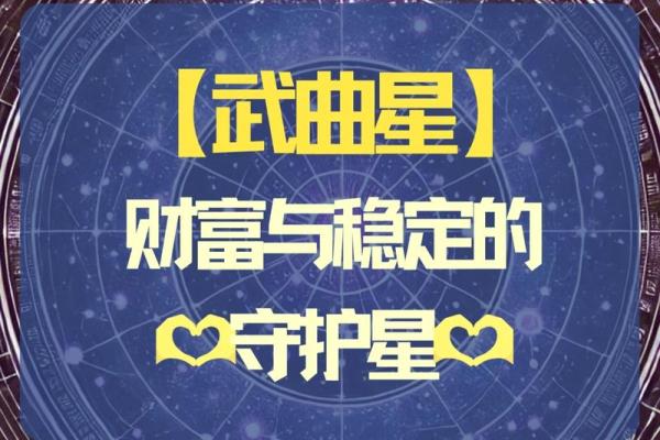 紫薇斗数大限武曲