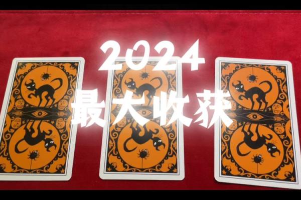 塔罗测试：今年你最大的收获是什么？