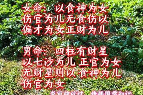 八字犯童子